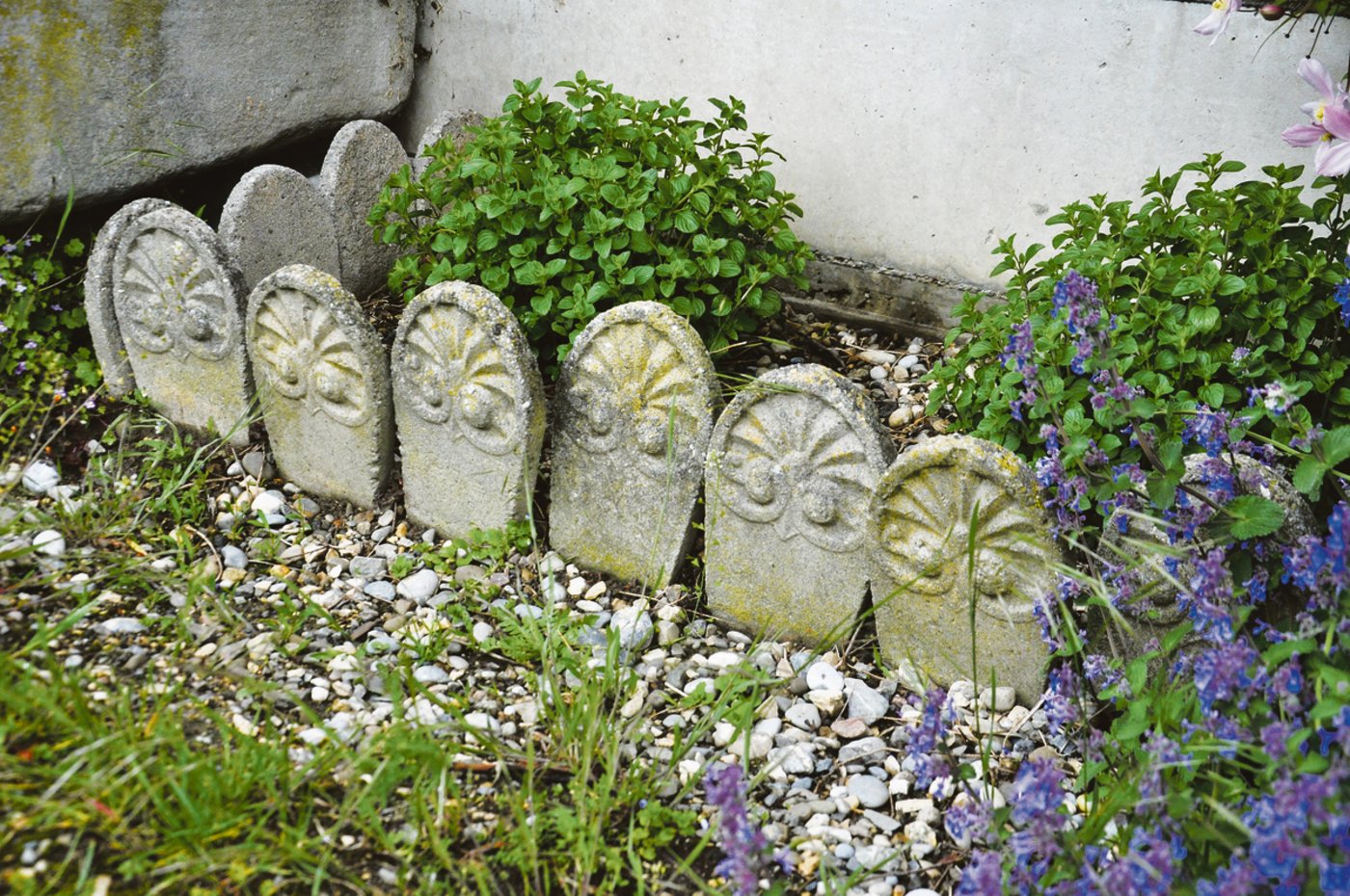 Die Bergminze wird von alten Stelen umrandet.