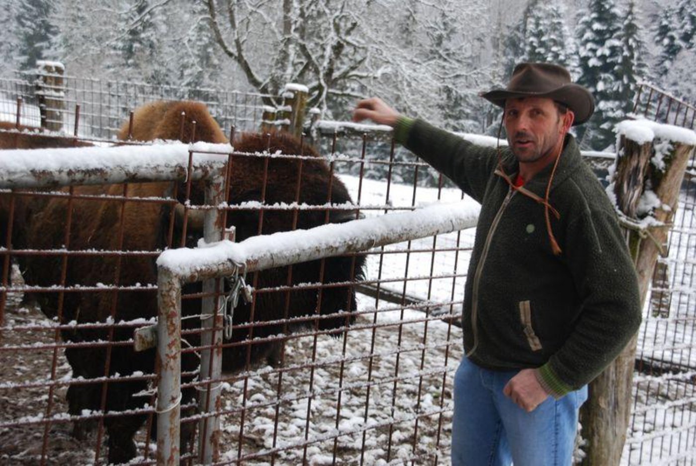 Ivo Bühlmann ist begeistert von den Bisons, hadert aber mit der Bürokratie. (Bilder rb)