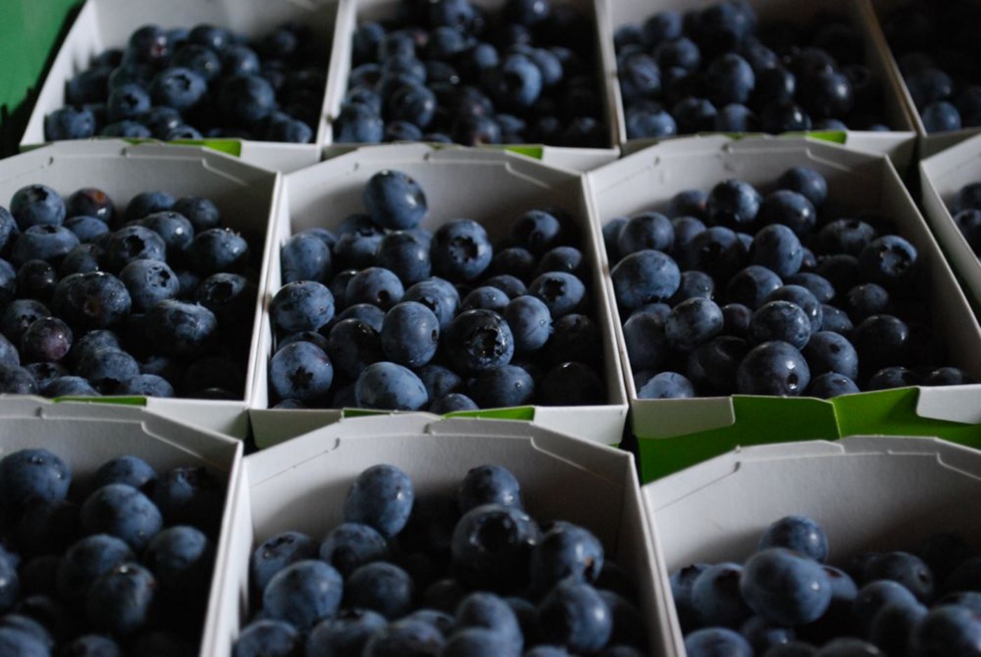 Es werden auch immer mehr Heidelbeeren aus der Schweiz angeboten. (Bild: jw)