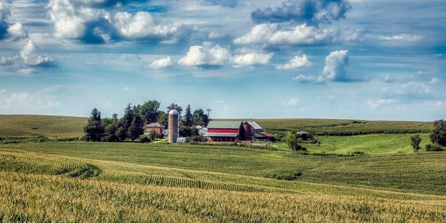 Unter anderm hat ein US-Landwirt die Agrochemiekonzerne Bayer und BASF für Schadenersatz vor Gericht gezogen, weil Dicamba von benachbarten Feldern seine Pfirsichplantage ruiniert habe. (Symbolbild Pixabay)