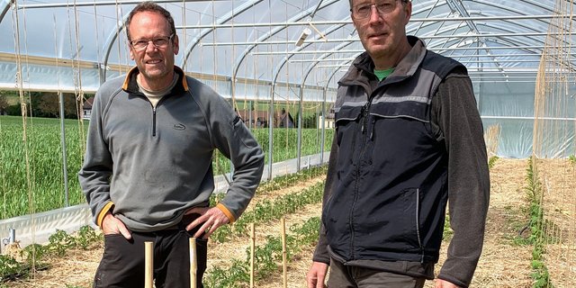 Markus (l.) und Jürg Weber betreiben ihren Hof nach den Prinzipien der Regenerativen Landwirtschaft. (Bilder Ruth Bossert)