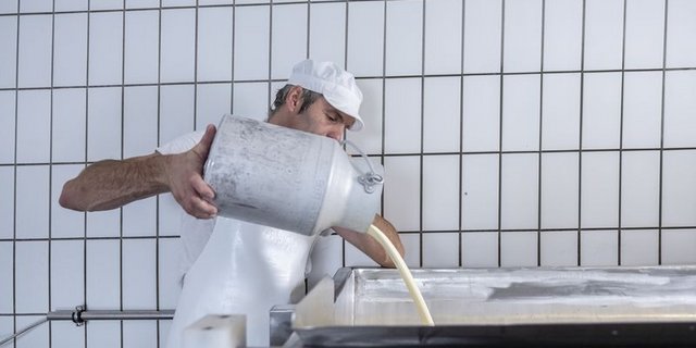 PurCrü setzt auf Weich- und Frischkäse. (Baumann Käse AG)