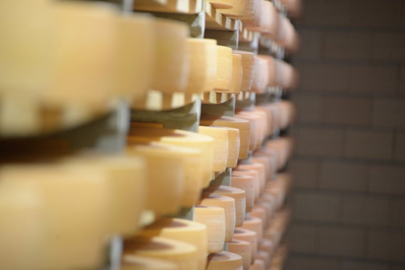 Am meisten exportiert wurde Hartkäse. (Bild BauZ)