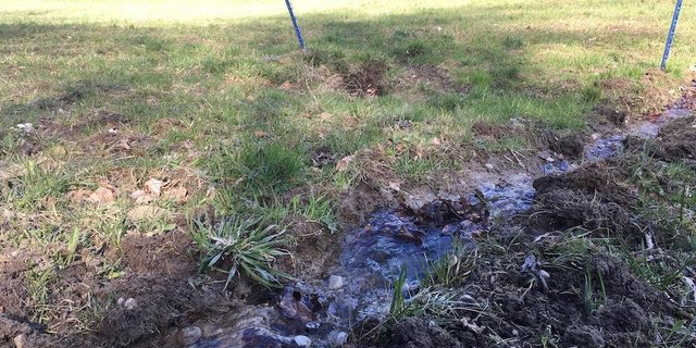 Der Bundesrat verweist auf die Erfolge bisheriger und für die Zukunft geplante Massnahmen zum Schutz von Umwelt und Gewässern. (Bild jsc)