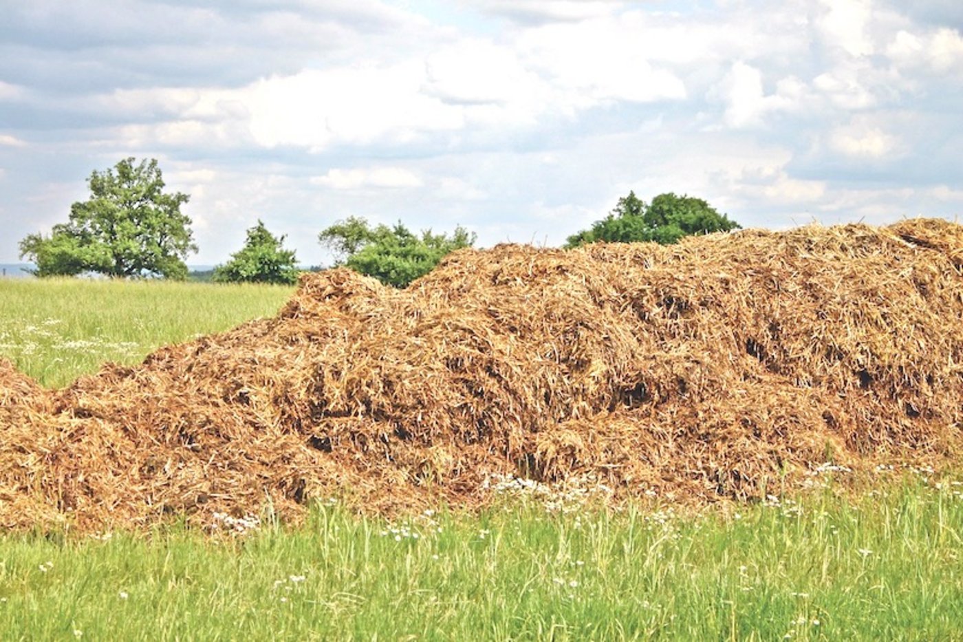 Die Mietenstandorte  sind so zu wählen,  dass kein Sickerwasser in Oberflächengewässer fliessen kann.  (Bild pxhere)