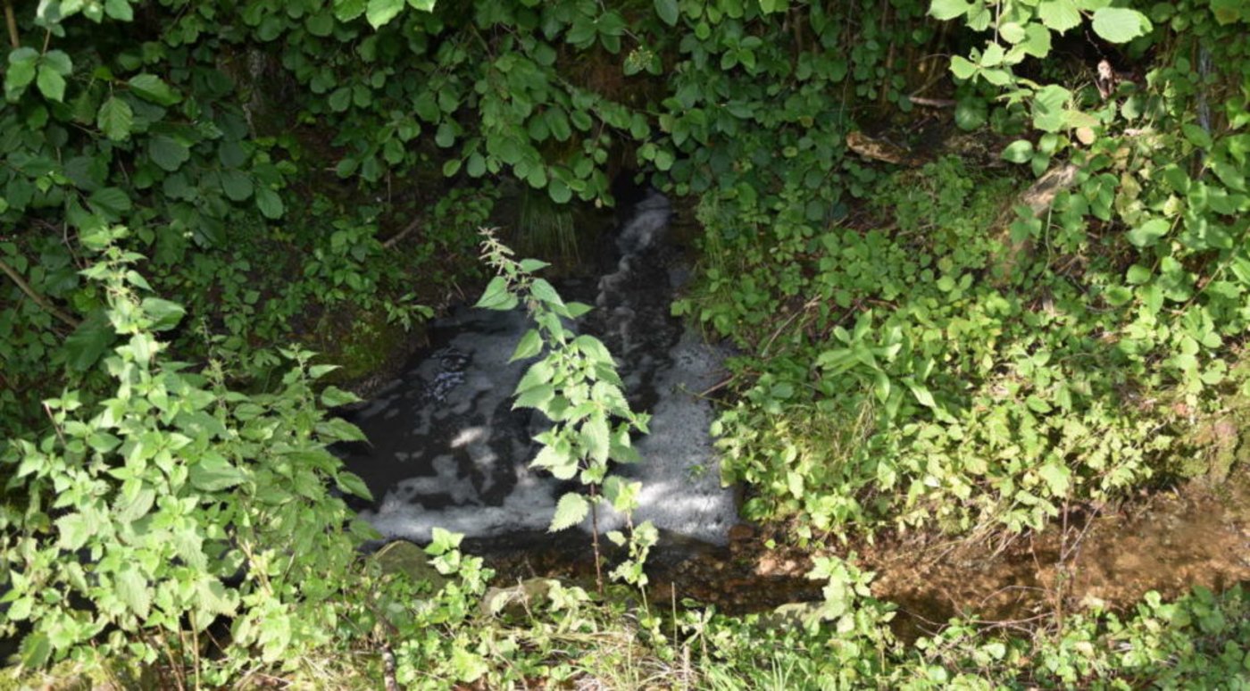 Der Unfall ereignete sich am frühen Montagmorgen in Siebenhausen. (Bild Kapo SG)