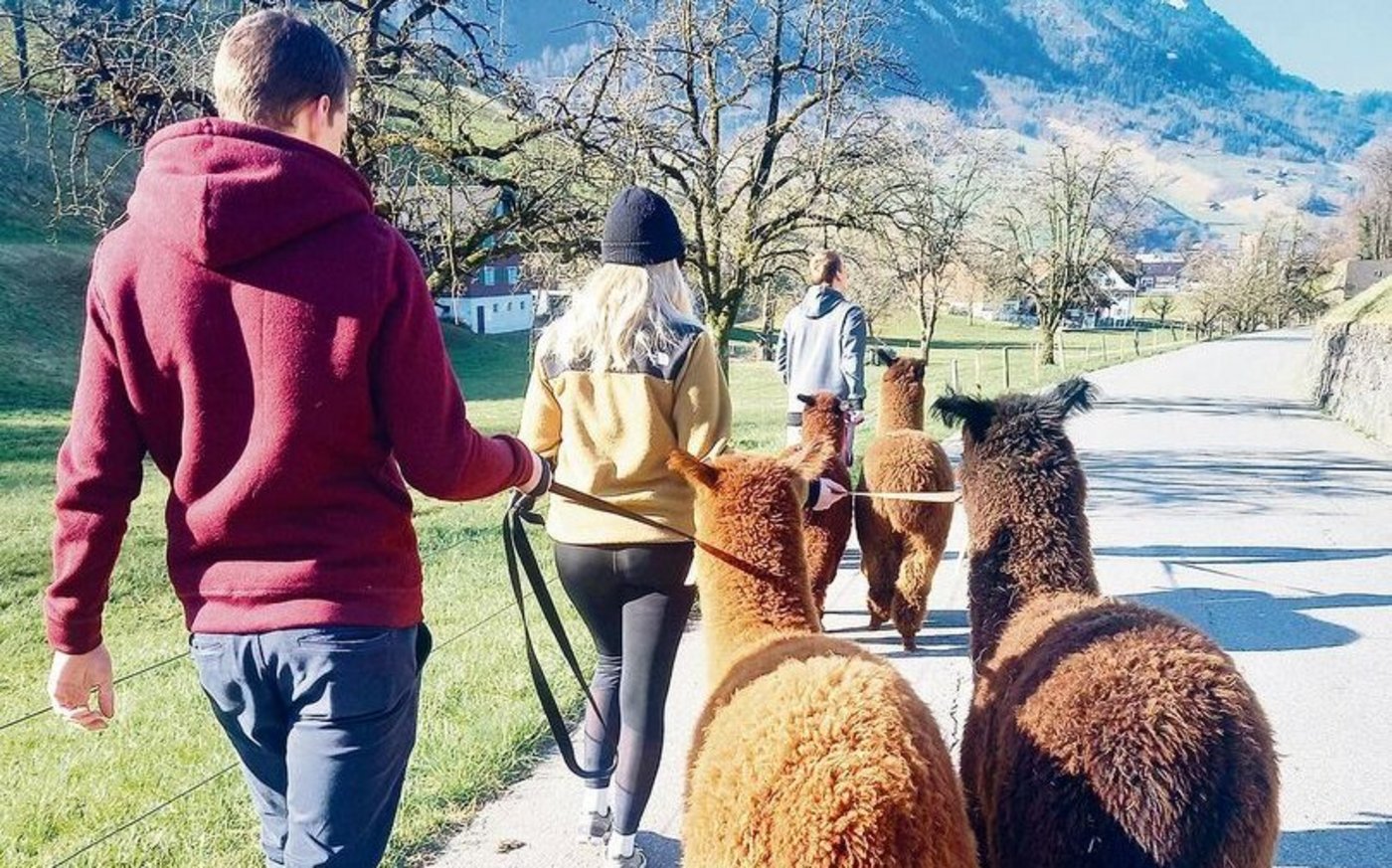 Gewinner(innen) des Nidwaldner Innovationspreises 2021. Flühlers bieten auch Spaziergänge mit Lamas an (l.). Hauptbetriebszweig sind die Legehennen. Lucia Flühler freut sich im Hühnerstall über das anlaufende Geschäft mit Ostereiern. 