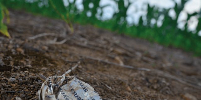 Gemäss den Daten von Public Eye verdient der Schweizer Konzern Syngenta gut mit Glyphosat, z.B. in Brasilien. (Bild Bericht Public Eye)