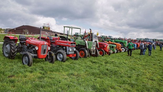 In Reih und Glied in Rot und Grün: Die Palette an alten Traktoren war so vielseitig wie das Publikum.