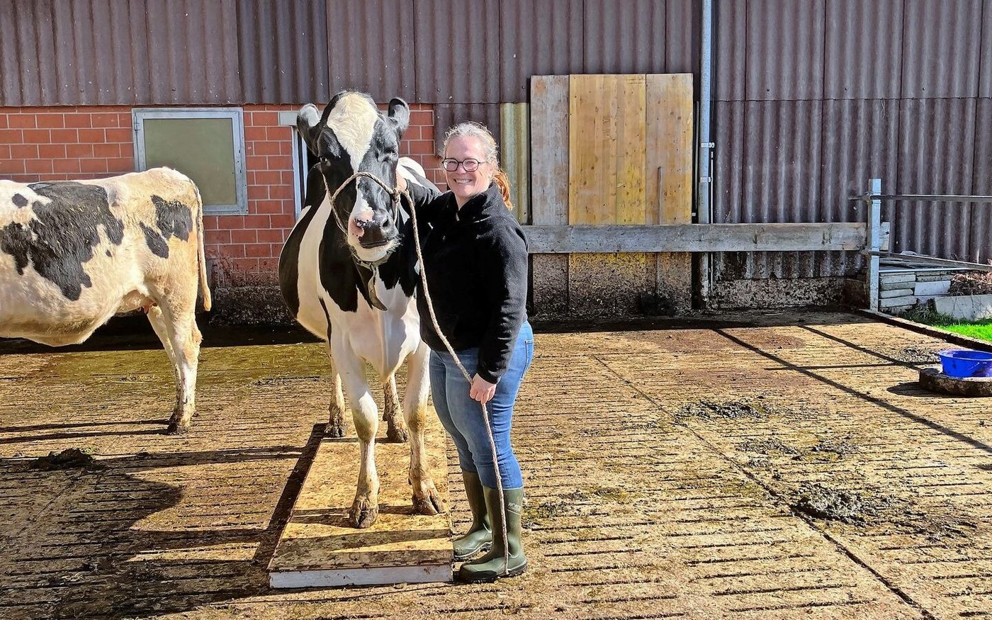 Ein eingespieltes Team: Daheim im Laufstall übt Sascha Moser mit ihrer Kuh Felicia, über ein Brett zu gehen.
