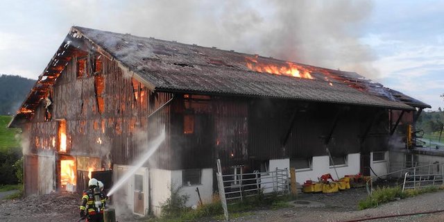 Die 50 Feuerwehrleute brauchten mehrere Stunden um den Brand zu löschen. (Bild Kapo Schwyz)