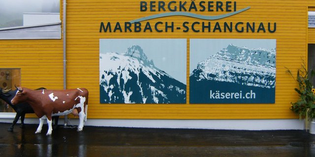 Heisst neu Bergkäserei Marbach AG und setzt auf mehr Wertschöpfung.   (Archivbild BauZ)
