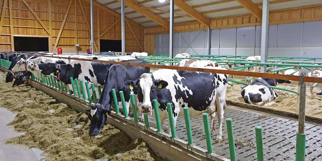 Gülle wird häufig unterhalb von Gängen und Laufhöfen zwischengelagert. Vor allem beim Aufrühren in Innenbereichen ist die Lüftung entscheidend.