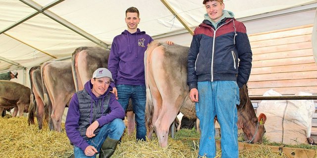 Die Gebrüder Sam, Tom und Noe Salzgeber (v. l. n. r) sind ein eingespieltes Team mit einer gemeinsamen Leidenschaft. Unter Züchtern kennt man sie auch als «Three S». 