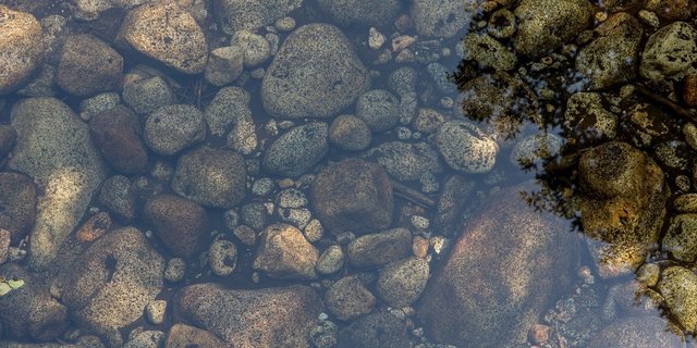 Über mehrere Jahre wurden zu hohe Nicosulfuron-Konzentrationen in jurassischen Flüssen gemessen. Der Entscheid für ein Verbot sei gemeinsam gefällt worden. (Bild Pixabay)