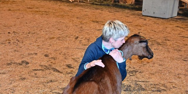Für Sonja Beer ein emotionaler Moment: An ihrer letzten Ausstellung holte sie mit ihrer Paprika noch den Schöneuter-Titel.