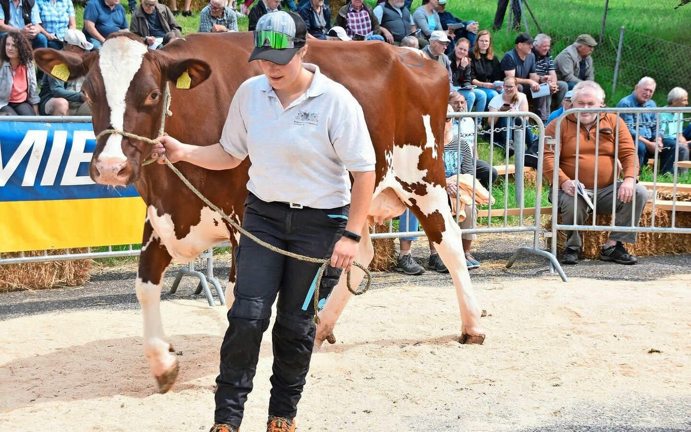 Die RH-Galtkuh Avatar Friska von Marcel und Maya Hunziker, Hemmiken, war einem Käufer 3800 Franken wert. 