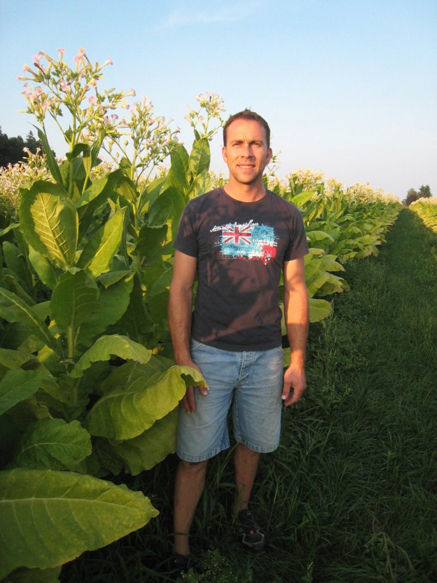 Reto Minder verzichtet konsequent auf den Pflug. (Bilder zVg/Reto Minder)