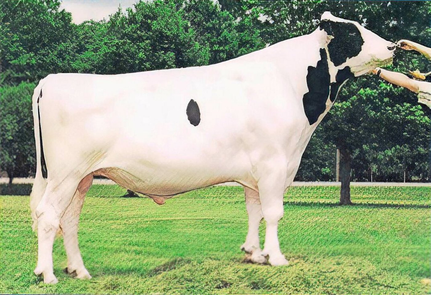 Ist er der berühmteste Inspiration-Sohn? Auf jeden Fall konnte Boulet Charles seine Hoffnungen erfüllen. 