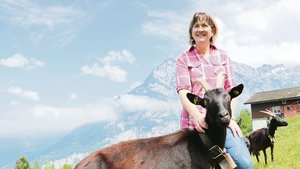 Helen Zurfluh und ih Helen Zurfluh und ihre Nera-Verzasca-Ziegen auf dem Heimbetrieb in Erstfeld UR. Den Sommer verbringen die Tiere auf der Alp und die Bäuerin beim Heuen.