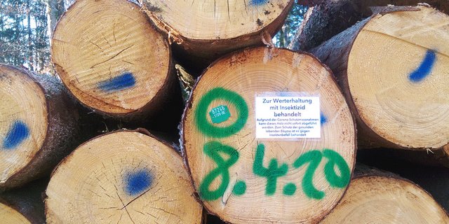 Zwar ist eine Insektizid-Behandlung von Holz im Wald eine absolute Ausnahme, man könnte deren Anzahl aber noch reduzieren, (Bild Vera Grubenmann)