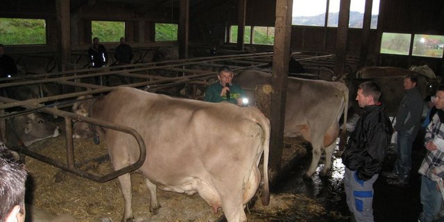 Kuhsignal-Trainer Christian Manser referierte im Stall von Milchproduzent Josef Gasser. (Bild zVg)