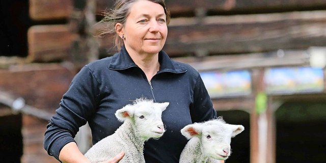 Schon seit ihrer Schulzeit ist Brigitte Fässler eine leidenschaftliche Schafzüchterin.