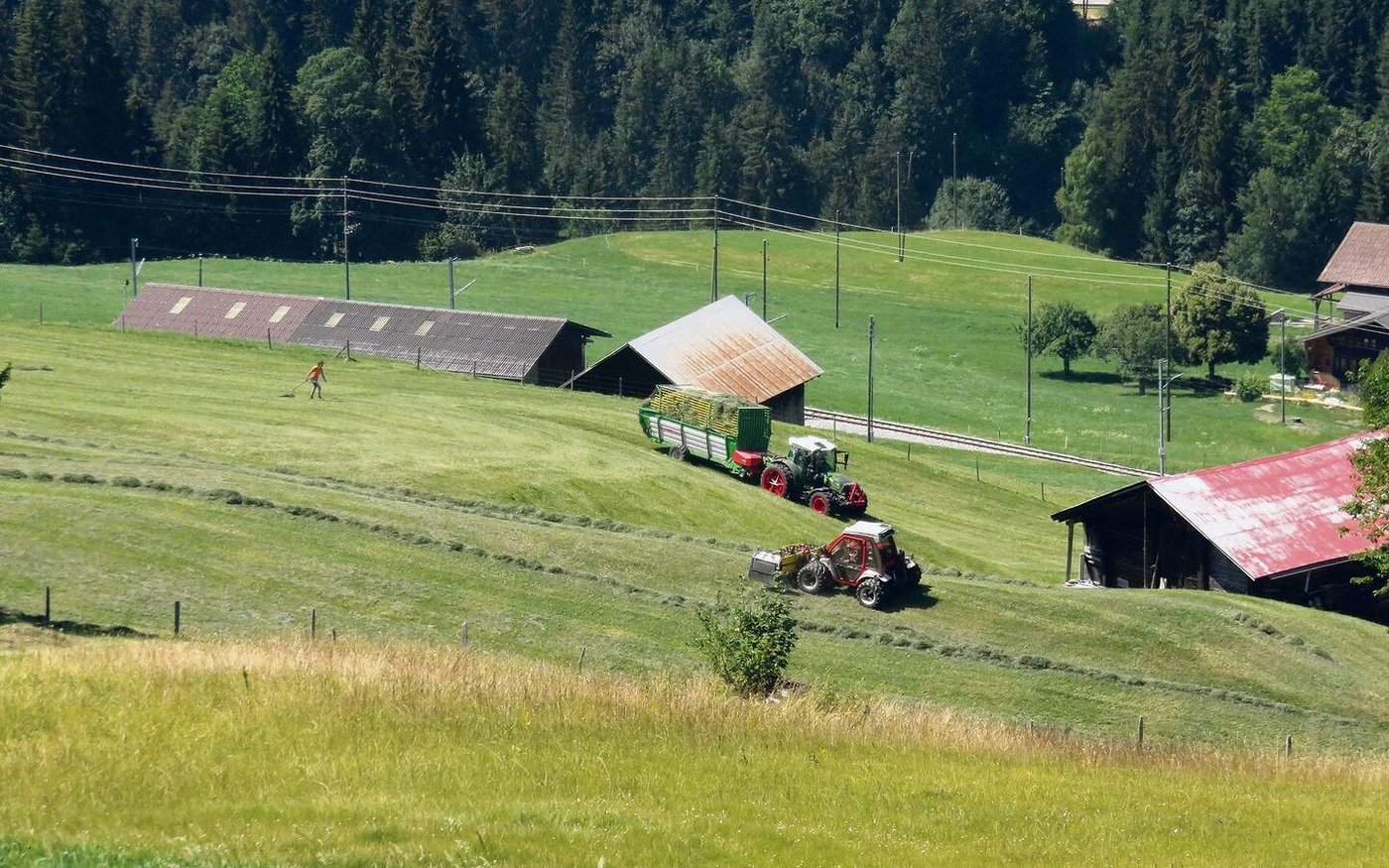 Der Ladewagen war ein durchschlagender Erfolg. Der Erste wurde 1960 an einer Landwirtschaftsausstellung gezeigt.