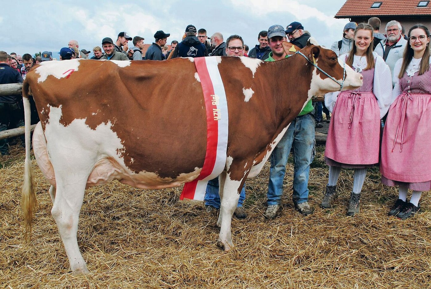 Miss Holstein Awesome Barbara von Armin Schatt aus Feusisberg.