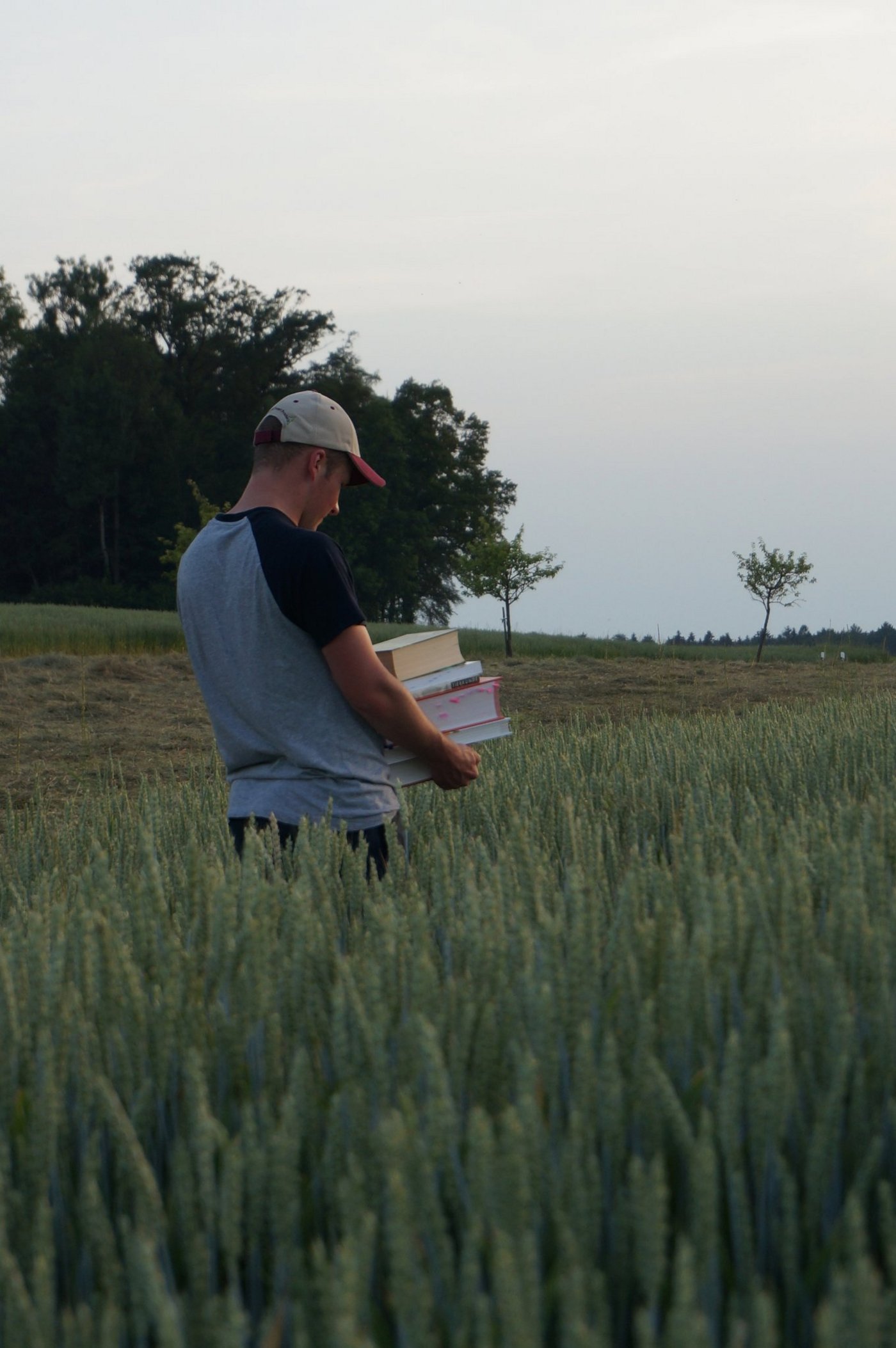 Der Bücherstapel auf dem Feld mag ungewohnt aussehen, doch Theorie und Praxis schliessen sich nicht aus. (Bild Deborah Rentsch)