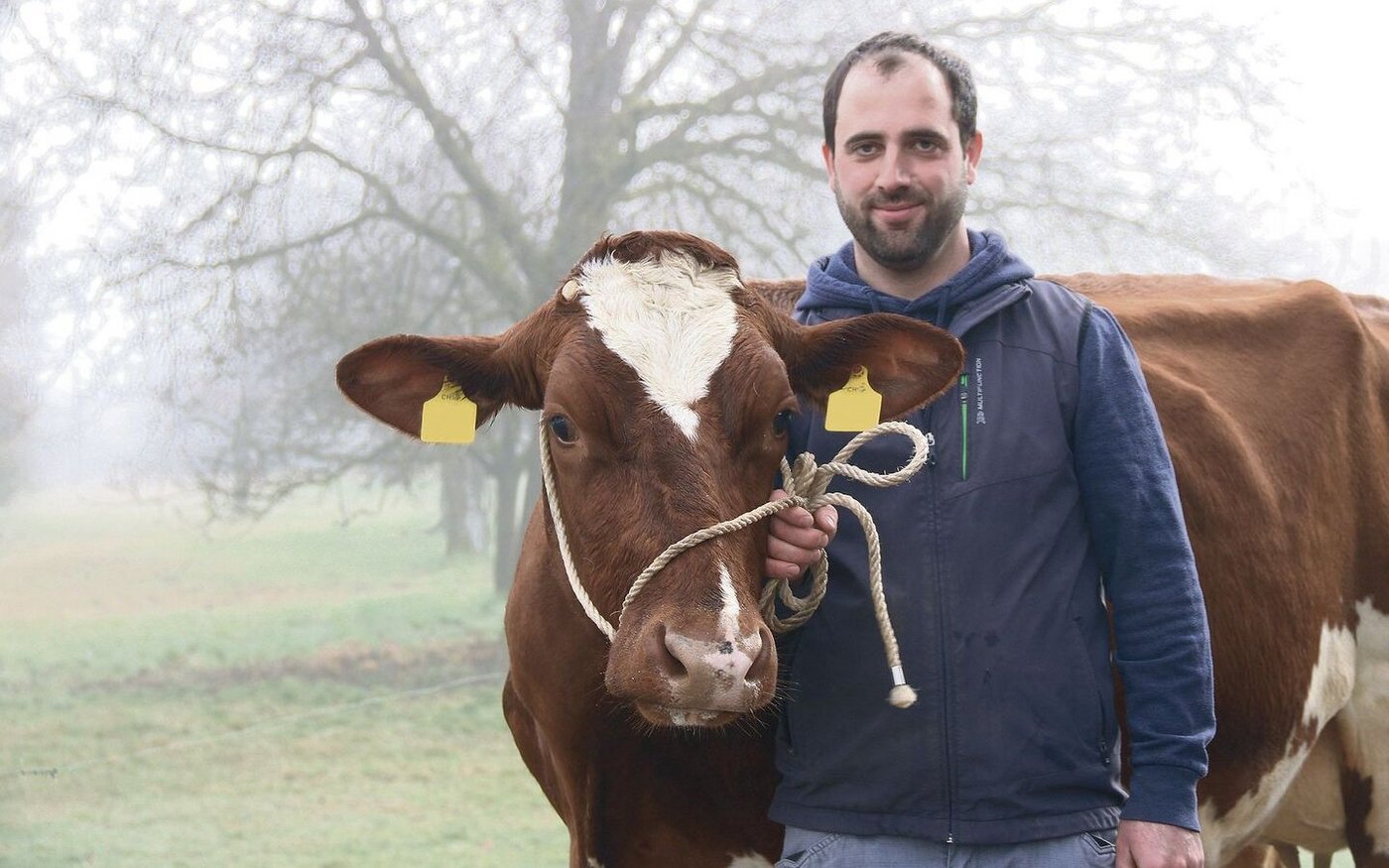 Der neue Präsident von Swissherdbook Solothurn, Daniel Schluep aus Nennigkofen, mit der vierjährigen Bahamas.