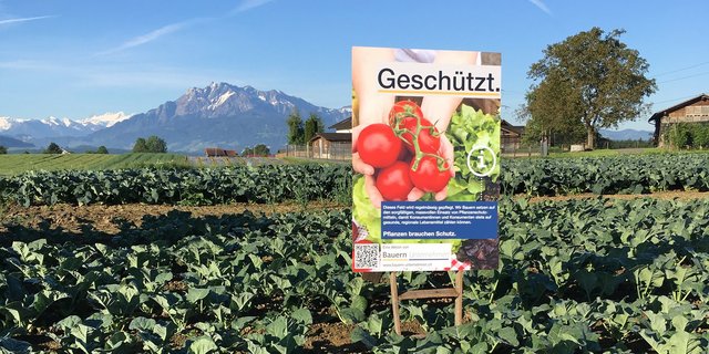 Die Solothurner Bauern dürfen ihre Plakate stehen lassen, entschieden das Bau- und Justizdepartement. (Bild IG Bauern Unternehmen)