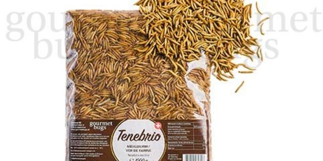 Mittlerweile kann der Grossteil der Nachfrage mit Mehlwürmern aus Schweizer Produktion gedeckt werden. (Bild Entomos)