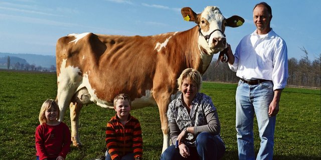 Jacqueline und Adrian Weber mit den Kindern Deborah und Cédric, der unbedingt auch sein Kaninchen mit auf dem Foto haben wollte. An der Halfter hält Adrian seine Spitzenkuh Incas Tulpe (55 55 98) und mit EX-91 beschrieben. Die Kuh Tulpe kommt dem Zuchtziel bei Webers sehr nahe. (Bild: Peter Fankhauser)