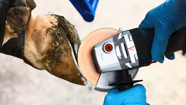 Wenn alles unternommen wurde, um mögliche Unfälle zu vermeiden und dennoch etwas vorfällt, muss die Unschuld bewiesen werden.