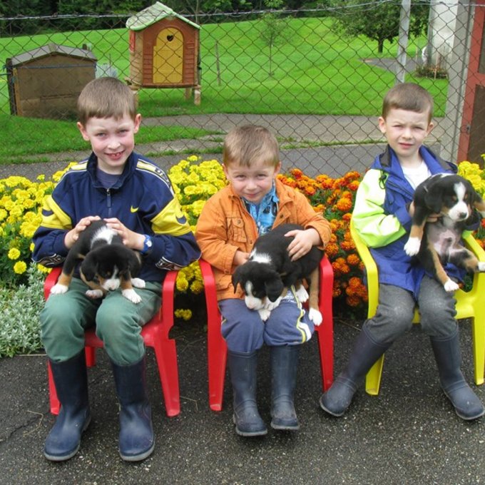 Elias, Janis und Levin beim täglichen Welpen streicheln.
  (Bild: Fam. Emmenegger)