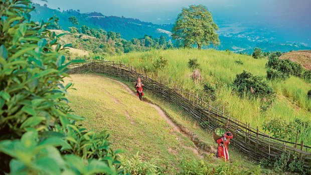 Landrechte für ethnische Minderheiten in Vietnam sichern. Daran arbeitet Helvetas von Juni 2020 bis Mai 2023.