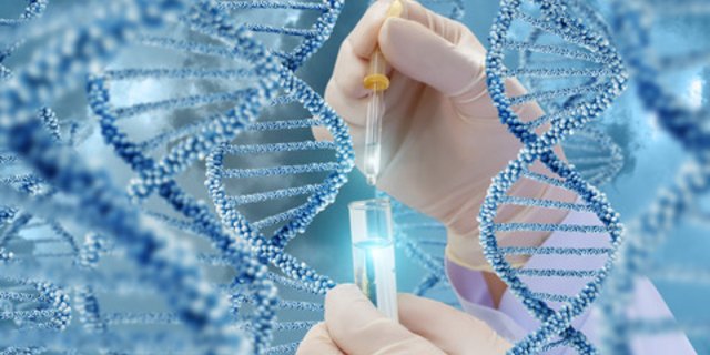 Eingriffe in das Genom eines Organismus sind umstritten. Die Schweizer Allianz Gentechfrei wehrt sich dagegen. In der Schweiz ist der Anbau von gentechnisch veränderten Organismen sowieso verboten. (Bild natali_mis/Adobestockstock)