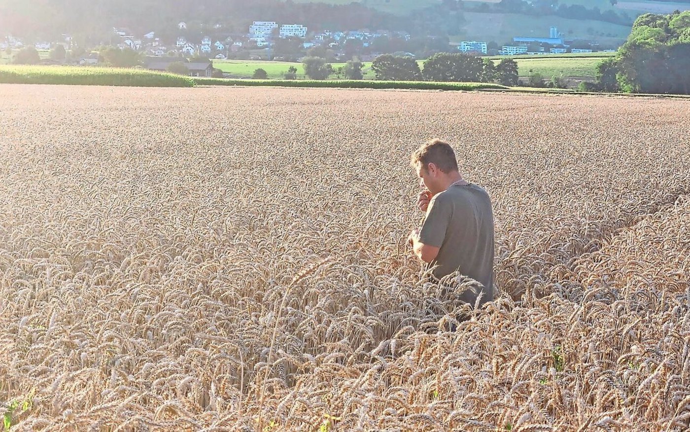 Neben der Direktvermarktung des Gemüses betreibt der Betriebsleiter einen vielfältigen Ackerbau mit Brotgetreide, Raps, Sonnenblumen, Silomais und Zuckerrüben.