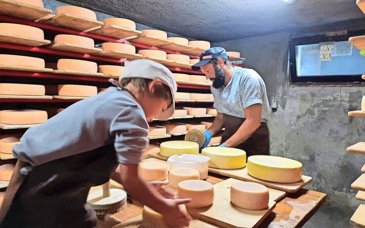 Konzentriert bei der Arbeit: Kindergärtlerin Ronya hilft ihrem Dädi beim Käseschmieren, da die Schmiermaschine den Geist aufgegeben hat.