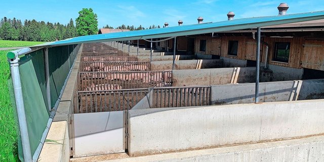 Für die Mauerhöhe bei Schweineausläufen gibt es keine quantitativen Vorgaben für das Programm RAUS, und bei Kontrollen werde das derzeit auch nicht kontrolliert. 