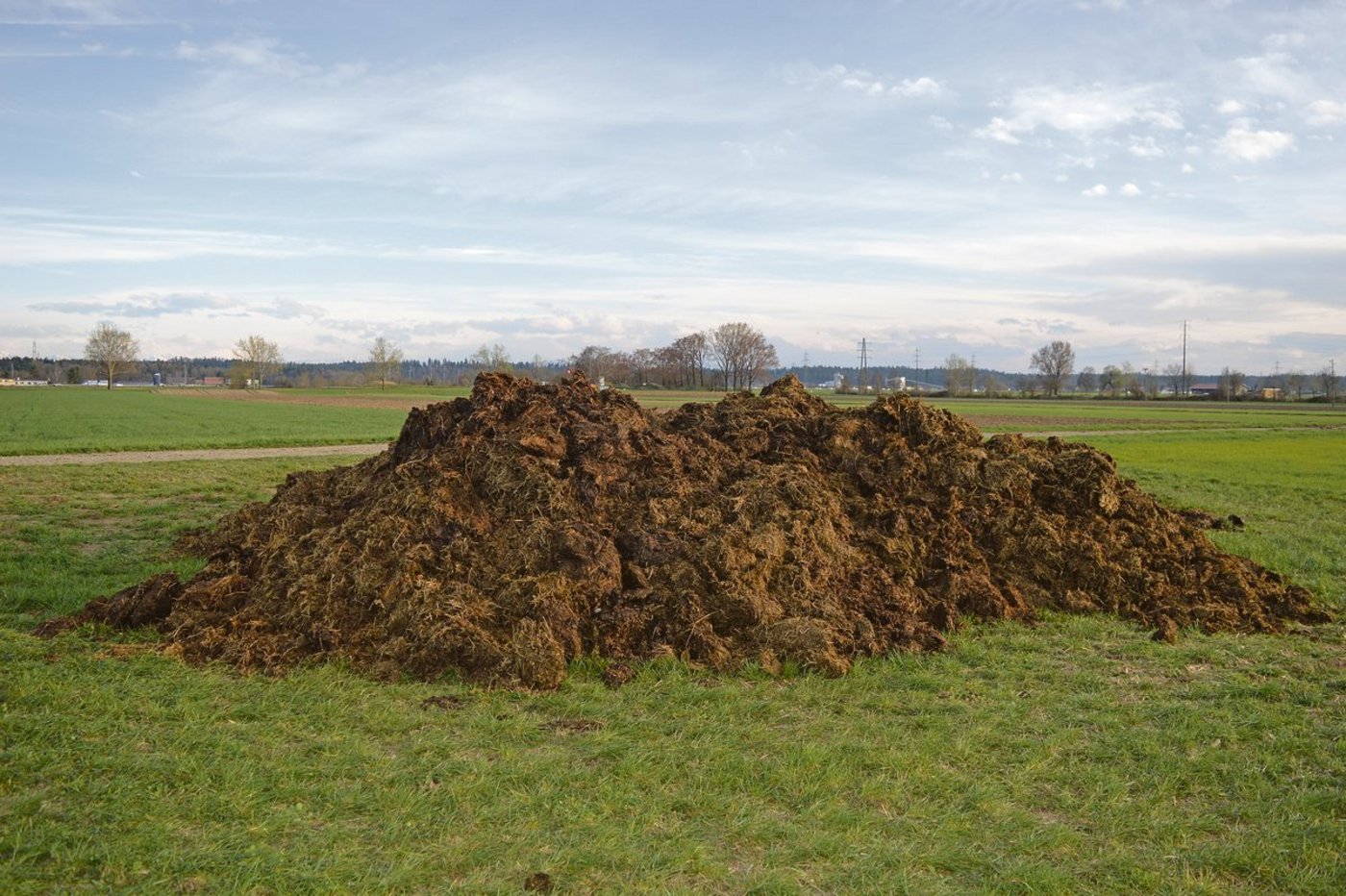 Baugesuch für Misthaufen