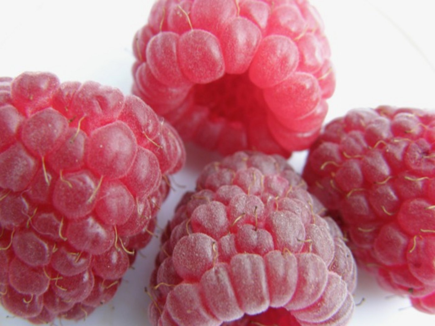 Himbeeren haben bis Juli bis Anfang Semptember Saison. (Bild Isolde Frick, landwirtschaft.ch)