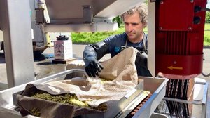 Obstverarbeitung: «Verjus ist wie Zitronensaftersatz» Bei Hans Oppikofer lief die Mostpresse bereits anfangs Juli. Er presste grüne Äpfel zu Verjus aus. (Bild und Video et)