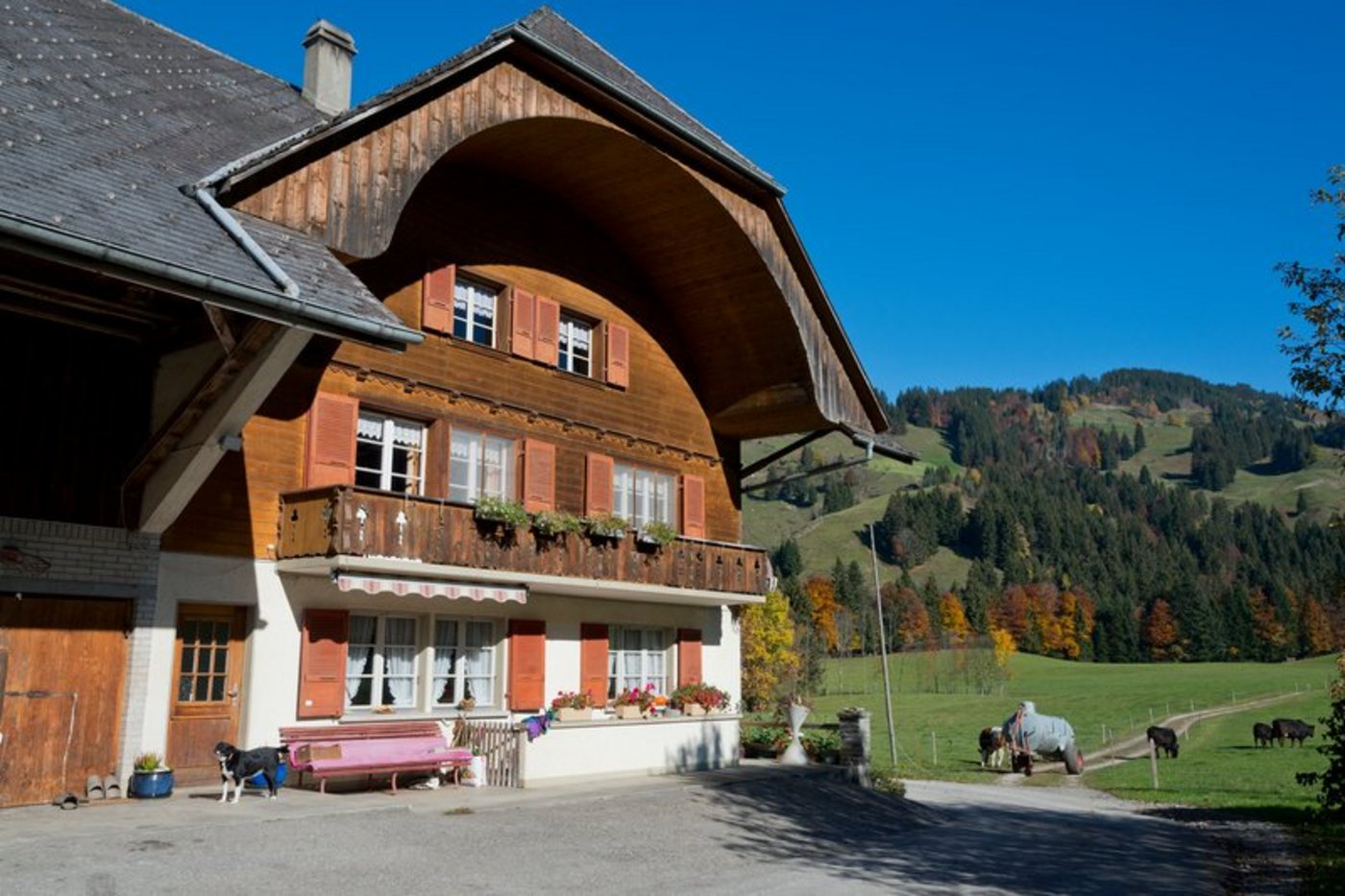 Mit der neuen Schätzungsmethode, sind die Ertragswerte der Böden mit einem Plus von 20 bis 52% markant gestiegen. (Symbolbild BauZ Miriam Kolmann) 