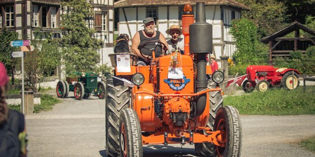 Einer der Oldtimertraktoren kurvt über das Ballenberg-Gelände. Insgesamt waren ... (Bilder Ballenberg/zVg)