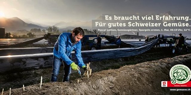 Sie Plakate sollen die Arbeiten von Gemüsebauern ihren Mitarbeitenden im Jahresverlauf zeigen. (Bild VSGP)