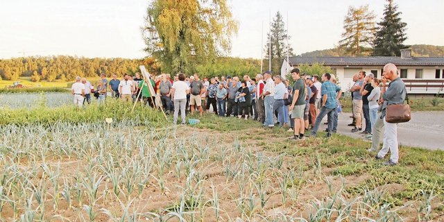 Die zwischen dem Lauch angelegten Blühstreifen sind Teil des ZiBif-Projekts.