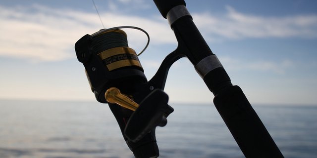 Die Schweizer Fischer wundern sich über den Bundesrat. (Bild ji)