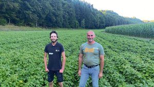 Thomas Wiedmer und sein Mitarbeiter Lurintg Bardill in ihrem Bohnenfeld. Der Bestand hat sich gut entwickelt.